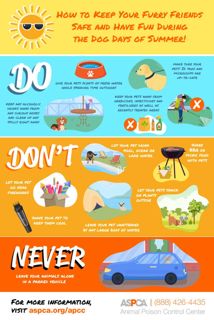 Summer pet safety tips