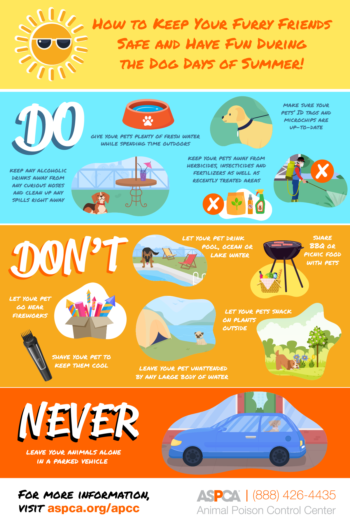 Summer pet safety tips