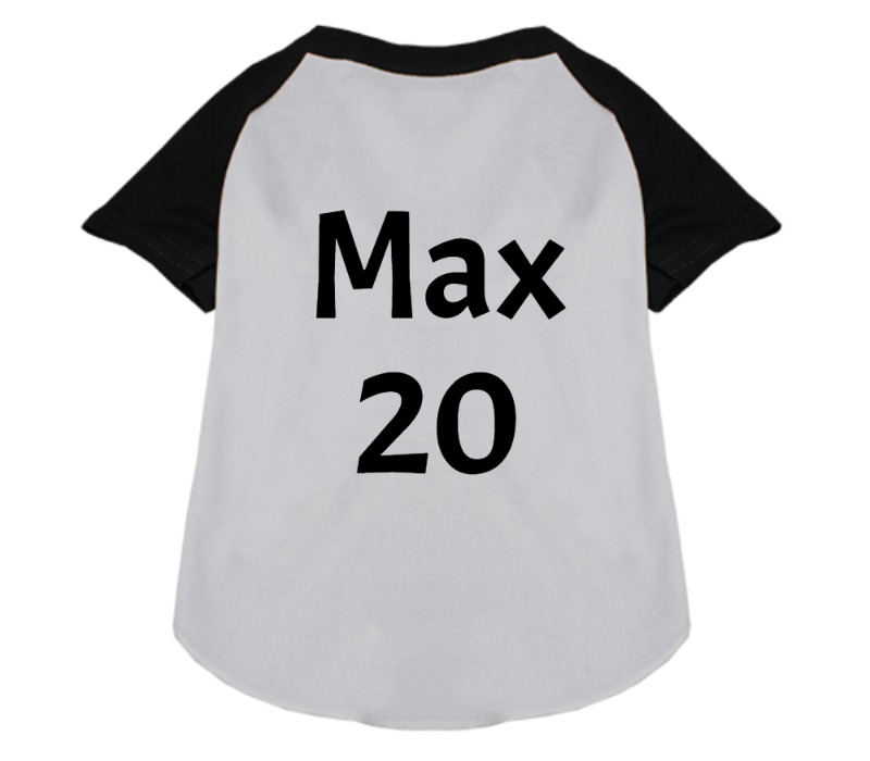 custom raglan shirt text sample