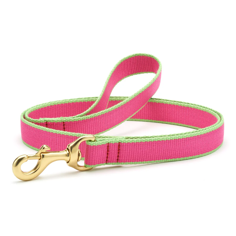 pink and lime dog leash