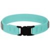 3-row-giltmore-breakaway-cat-collar-bimin-back-view