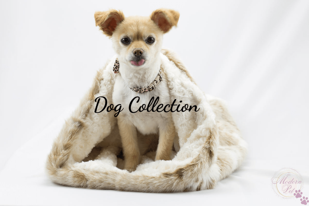 The Modern Pet USA~Dog Collection