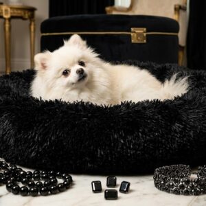 The Black Pet Boutique