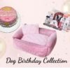 pink dog birthday set-cake bed grooming