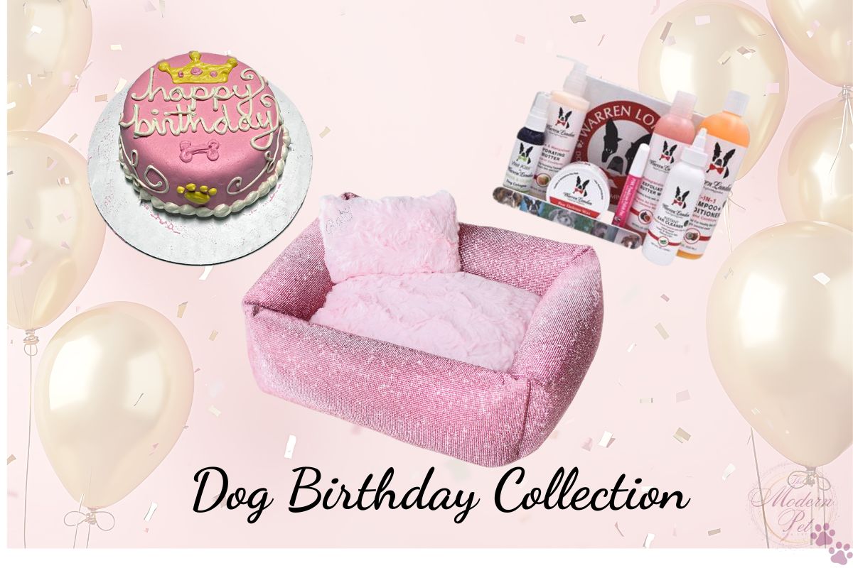 pink dog birthday set-cake bed grooming