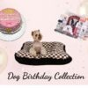 birthday princess dog gift set