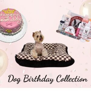 birthday princess dog gift set