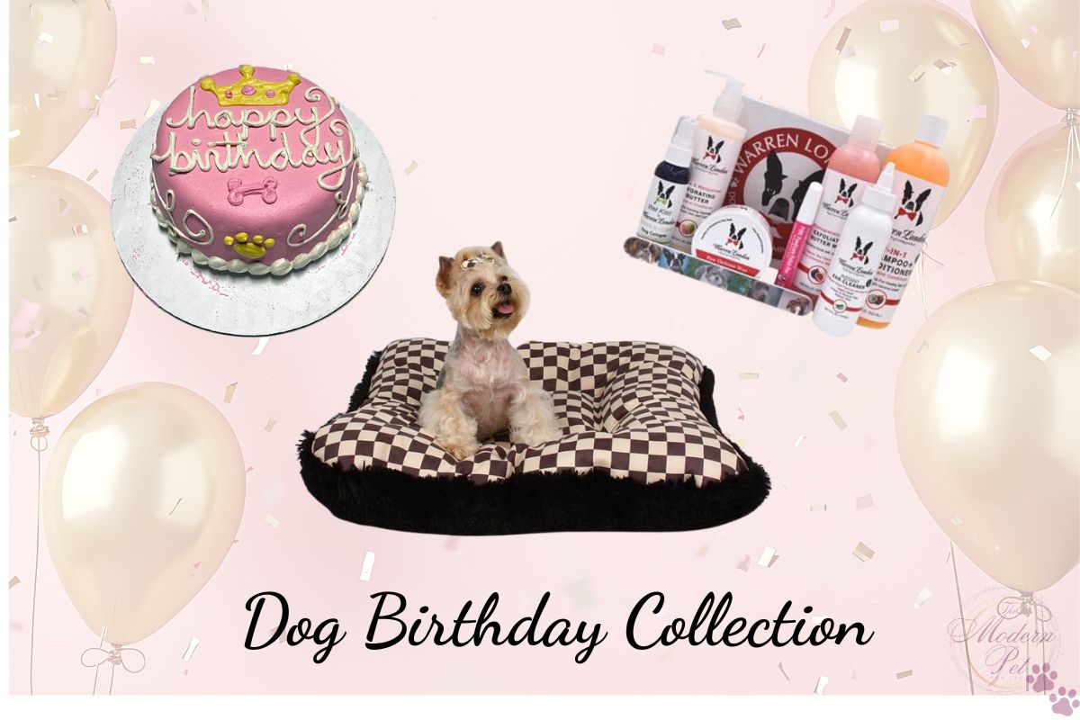 birthday princess dog gift set