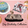 luxury dog birthday collection