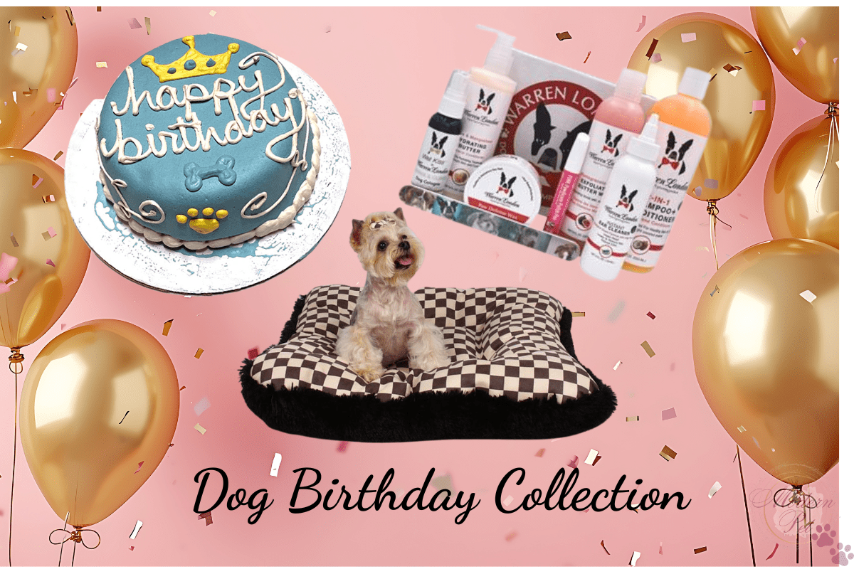 luxury dog birthday collection