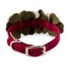 fall-flower-dog-collar-rear fall-flower-dog-collar-rear