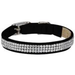 luxury black cat collar
