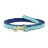 Beach_Balls_Small_Breed_Dog_Lead Beach_Balls_Small_Breed_Dog_Lead