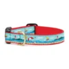 Summer Dog Collar