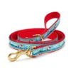 Summer Dog Leash