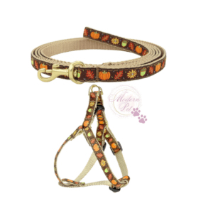 Harvest Time SMALL BREED Dog Harness & Leash Set