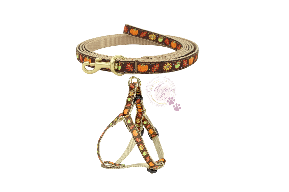 Harvest Time SMALL BREED Dog Harness & Leash Set Harvest Time SMALL BREED Dog Harness & Leash Set