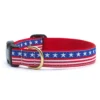 Stars and Stripes Dog Collar Stars & Stripes Summer Dog Collar & Leash Set