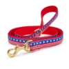 Stars and Stripes 5ft Dog Lead Stars & Stripes Summer Dog Collar & Leash Set
