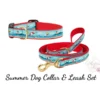 Summer Dog Collar & Leash Set
