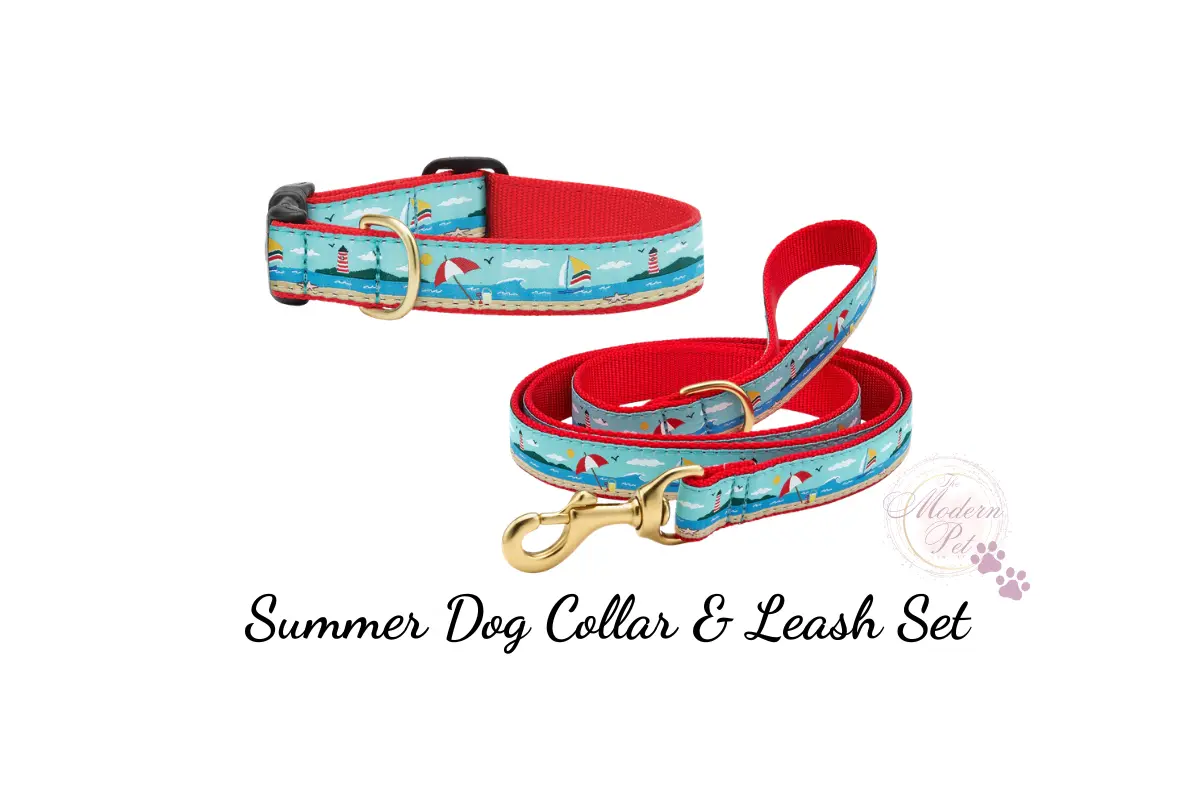 Summer Dog Collar & Leash Set