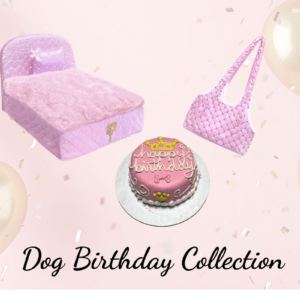 dog birthday set blush bed carrier and cake for dogs