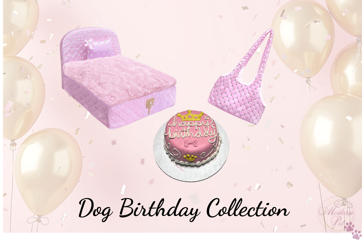 dog birthday blush dog birthday set blush bed carrier and cake for dogs