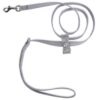 platinum-glitzerati-big-bow-leash