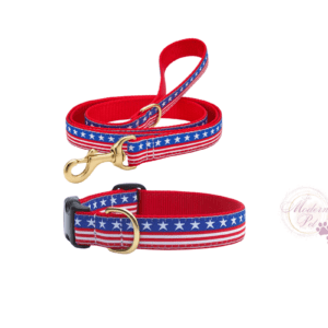 Stars & Stripes dog collar leash set