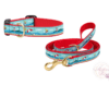 Coastal Summer Dog Collar & Leash Set