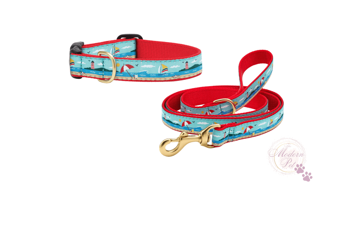 Coastal Summer Dog Collar & Leash Set